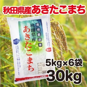 秋田県産あきたこまち　無洗米(業務用)　30kg(5kg×6袋)【1325837】