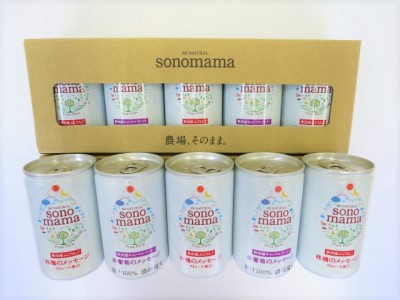 「sonomama」ミックス（160g×10本）
