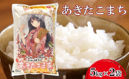 美少女イラスト 粒がひと回り大きい 高品質米 あきたこまち10kg（5kg×2袋）
