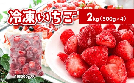 冷凍いちご　2kg（500g×4）国産 イチゴ ジャム スムージー お菓子づくり