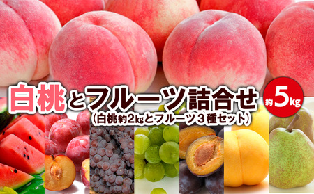白桃とフルーツ詰合せ 約5kg 【令和6年産先行予約】FS23-801