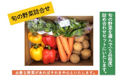 旬の野菜詰合せ【障がい者支援】 FZ19-523