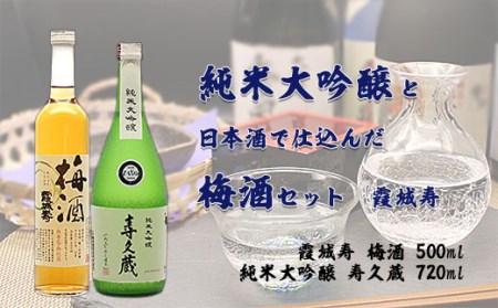 純米大吟醸と日本酒で仕込んだ梅酒セット 霞城寿 FZ20-050