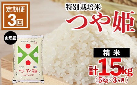 【定期便3回】山形産 特別栽培米 つや姫 5kg×3ヶ月(計15kg) FZ21-336
