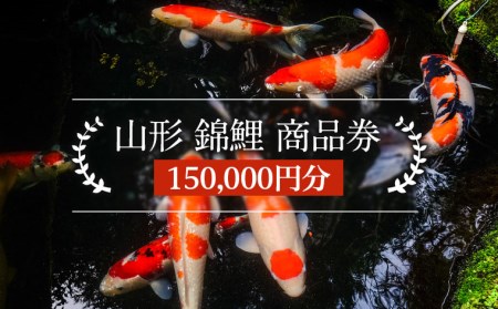 山形 錦鯉 商品券 150,000円分 FY21-490