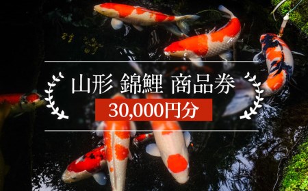 山形 錦鯉 商品券 30,000円分 FY21-491