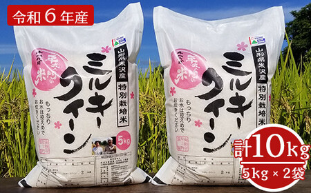 先行予約【令和4年産 新米】 特別栽培米 ミルキークイーン 10kg （5kg×2袋） 2022年産 農家直送 産地直送