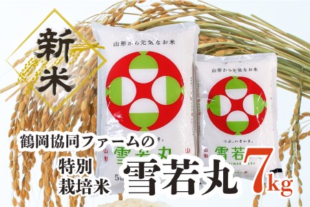 【令和4年産米】特別栽培米雪若丸7kg（5kg+2㎏）