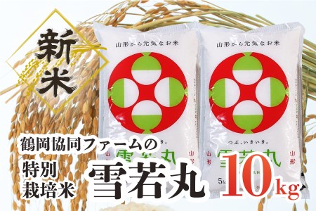 【令和4年産米】特別栽培米雪若丸10kg（5kg×2袋）