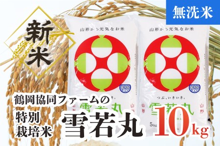 【令和4年産米】特別栽培米雪若丸無洗米10kg（5kg×2袋）