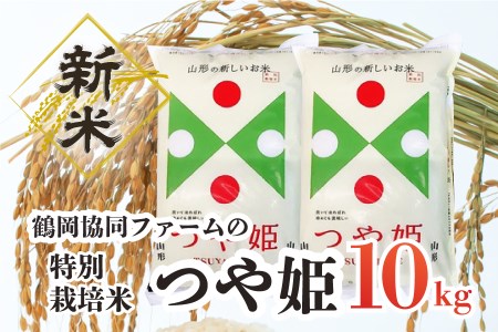 【令和4年産米】特別栽培米つや姫10kg（5kg×2袋）