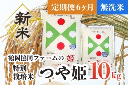 H44-002　【定期便6ヶ月】【令和4年産米】特別栽培米つや姫無洗米10kg（5kg×2袋）×6ヶ月