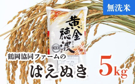 【令和4年産米】はえぬき無洗米5㎏（5kg×1袋）
