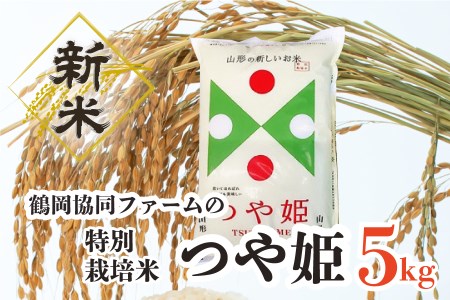 【令和4年産米】特別栽培米つや姫5kg（5kg×1袋）