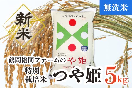 【令和4年産米】特別栽培米つや姫無洗米5kg（5kg×1袋）