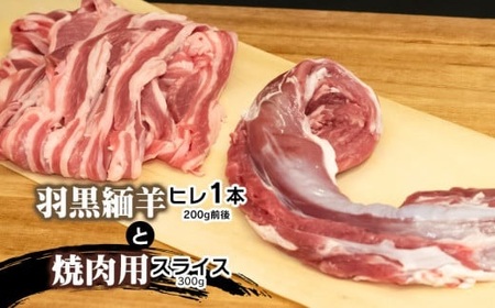 羽黒緬羊ヒレ1本（約200g）と焼肉用スライス（300g） 【肉バルYAKU禄】