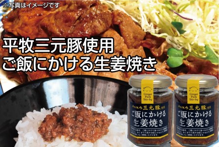 SZ0022　【平田牧場三元豚使用】ご飯にかける生姜焼き　2個