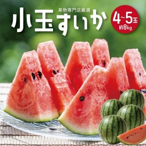 SB0473　酒田の果物専門店厳選　庄内産 小玉すいか　約8kg(4～5玉入)