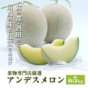 SB0471　酒田の果物専門店厳選　庄内砂丘アンデスメロン　約5kg(4～5玉入)