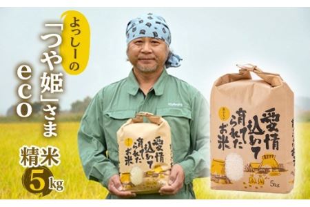 よっしーの「つや姫」さまeco（精米） 米 お米 おこめ 山形県 新庄市 F3S-0239