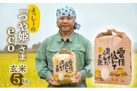 よっしーの「つや姫」さまeco（玄米） 米 お米 おこめ 山形県 新庄市 F3S-0240
