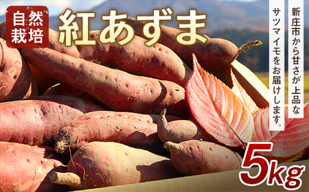 自然栽培 紅あずま 5kg さつまいも サツマイモ 山形県 新庄市 F3S-1944