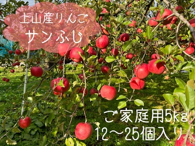りんご（サンふじ）５ｋｇ　ご家庭用　0120-2409