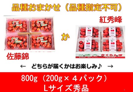 さくらんぼ品種おまかせ（佐藤錦か紅秀峰）Ｌサイズ　秀品　８００ｇ（２００ｇ×４パック）フードパック入り　0020-2402
