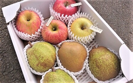 ラ・フランスとりんご２品種以上の詰合せ　３ｋｇ　ご家庭用　0075-2411