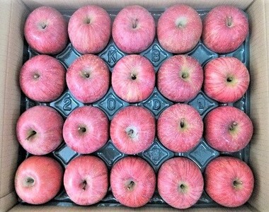 りんご（サンふじ）５ｋｇ　２０玉　特秀品　0056-2427