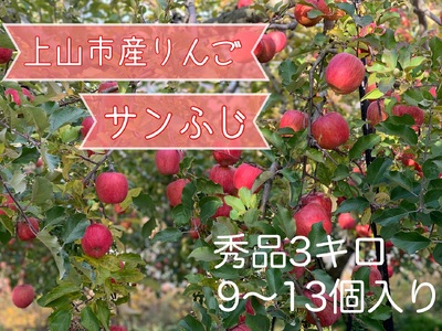 りんご（サンふじ）３ｋｇ　９～１３個　0120-2405