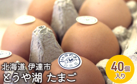 北海道 伊達市 とうや 卵  40個 入り たまご