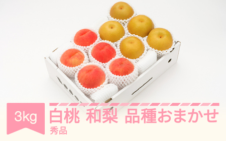 白桃 秀品＆和梨 品種おまかせ 詰め合わせ 約3kg 令和6年産 2024年産 果物 送料無料 ns-fshnx3