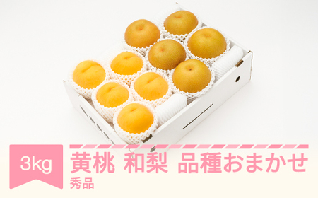 有袋黄桃 秀品＆和梨 品種おまかせ 詰め合わせ 約3kg 令和6年産 2024年産 果物 送料無料 ns-fsonx3