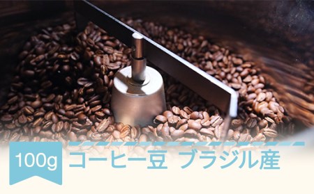 コーヒー ブラジル 100g コーヒー豆 ラビットビレッジコーヒー 自家焙煎 スペシャルティコーヒー 珈琲 rv-cfbzx100-m