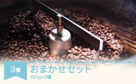 コーヒー おまかせセット 100g×3種セット コーヒー豆 ラビットビレッジコーヒー 自家焙煎 スペシャルティコーヒー 珈琲 福袋 rv-cfomx300-m