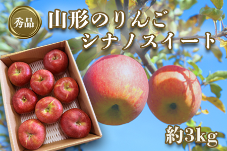【2024年10月～11月発送分先行受付】「秀品」山形のりんご（シナノスイート）約3kg_H166(R6)