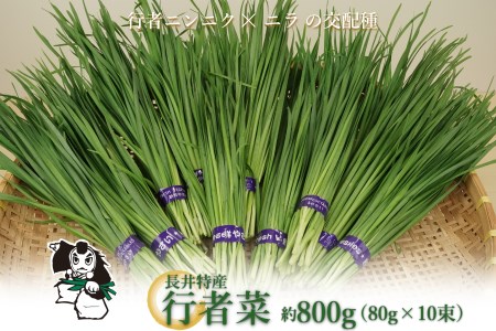 長井特産行者菜約800g（80g×10束）・レシピ本セット_H100(R6)