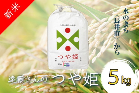 【令和5年産新米】【特別栽培米】遠藤さんの「つや姫」5kg(5kg×1袋)_A070(R5)