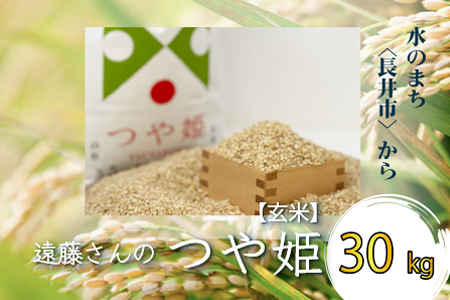 【令和4年産】【玄米】【特別栽培米】遠藤さんの「つや姫」30kg×1袋_A