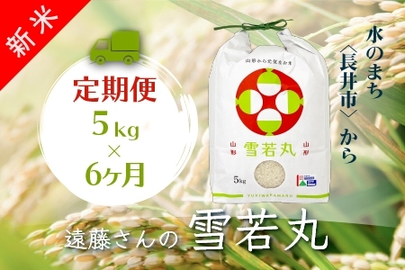 【定期便6ヶ月】【令和5年産新米】【特別栽培米】遠藤さんの「雪若丸」5kg×1袋×6ヶ月_A117(R5)