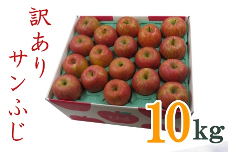 【2024年11月～12月発送】訳ありリンゴ（サンふじ）10kg（1箱2段詰）_H128(R6)