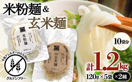米粉麺・玄米麺 合計1.2kg（120g×5袋×2種類）黒澤ファーム 1768