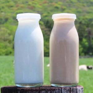 【定期便】山形県産 やまべ牛乳セット (牛乳 1L×3・コーヒー牛乳 900ml×1) ×6回 F21A-324