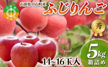 【2024年先行予約】果物の郷 中山町からお届けします！「ふじりんご」期間限定 数量限定 F4A-0059