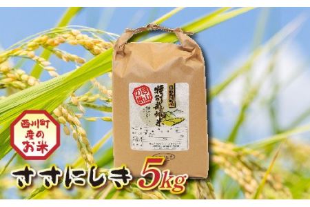FYN9-206 山形県西川町産 ササニシキ 5kg 白米 香り あっさり 食感