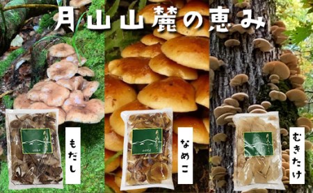 FYN9-135【山菜ときのこの里西川町】天然きのこ水煮3種セット