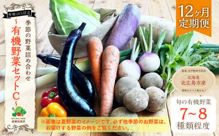 【12ヶ月定期便】有機JAS認定 季節の野菜詰め合わせ ～有機野菜セットC～ 