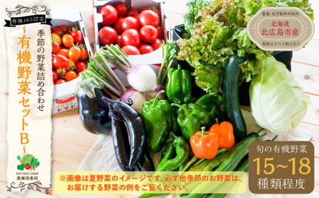 【有機JAS認定】季節の野菜 詰め合わせ 15種類～18種類程度 ～有機野菜セットB～ 北海道北広島市