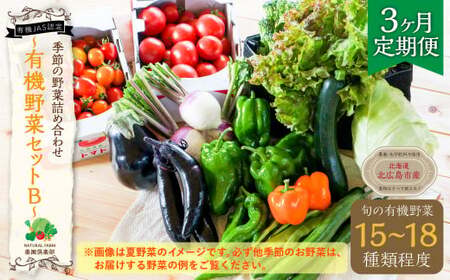 【3ヶ月定期便】有機JAS認定 季節の野菜 詰め合わせ～有機野菜セットB～ 北海道北広島市